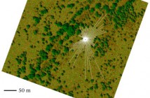 Aerial lidar sheds light on lion behaviour 03.25.13Lionlidar